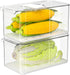 Large Crisper Lettuce Keeper, Vegetable Salad Storage Containers for Fridge - Pack of 2, 5700 ml Berry Bins