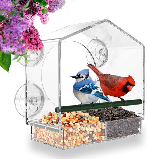 Window Bird Feeder with Strong Suction Cups, Fits Cardinals, Finches, and Chickadees
