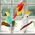 TUPARKA 6 Pieces Tropical Birds Honeycomb Parrot, Hawaiian Summer Beach Tiki Bar Luau Party Decorations