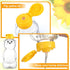 36 Transparent(350 Ml/ 12 oz) Thenshop Pcs Honey Bear Bottle,Plastic Honey Squeeze Bottle,Honeybear Squeeze Jars,Cute