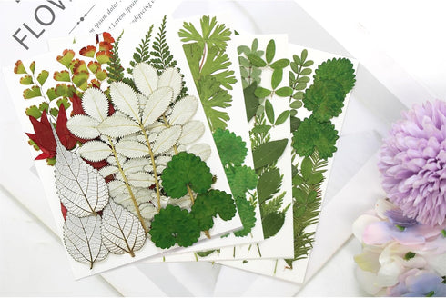 84 Pcs Dried Pressed Leaves Flowers Kit, Assorted Natural Dried Greenery for Resin Art, DIY Crafts & Scrapbooking
