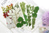 84 Pcs Dried Pressed Leaves Flowers Kit, Assorted Natural Dried Greenery for Resin Art, DIY Crafts & Scrapbooking