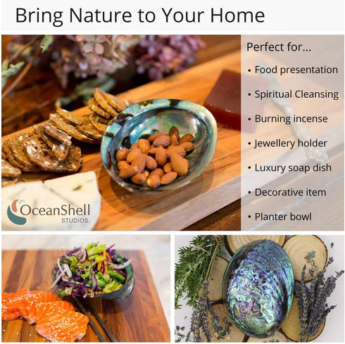 Polished Abalone Shell, 4.5" to 5.5", in Gift Box for Smudging, Cleansing, Meditation, Home Décor - 100% Natural Shell