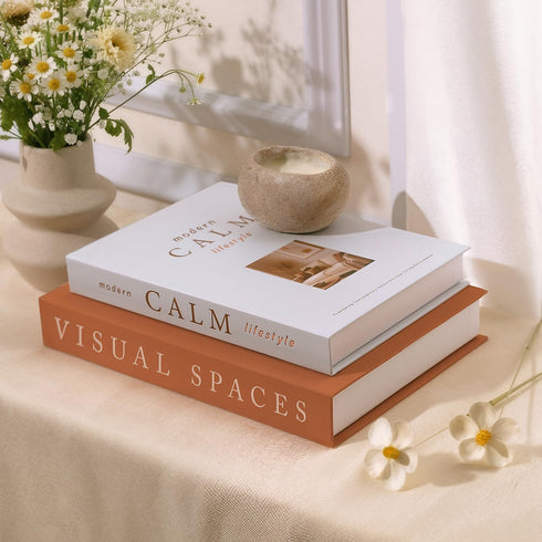 Cenjeery Minimalist Decorative Books for Home Decor - Set of 2 Aesthetic Faux/Fake