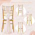 16 Pack SoarDream Champagne Wedding Chair Sashes, Sheer Tulle with Artificial Hydrangea Accents for Ceremony, Reception