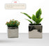 WGV Ceramic Cube Vase, 5.5" Width, 5" Height, Elegant Modern Block Floral Planter, Silver, 1 Piece