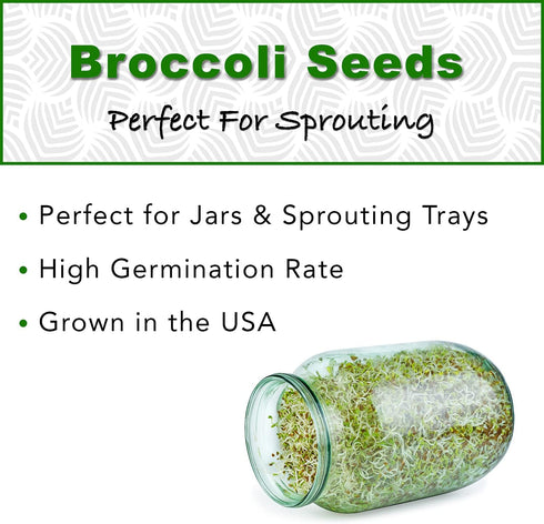 1 lb Broccoli Sprouting Seeds - Perfect for Sprouting & Microgreens, Rich in Sulforaphane, USA Grown (Resealable Bag)