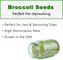1 lb Broccoli Sprouting Seeds - Perfect for Sprouting & Microgreens, Rich in Sulforaphane, USA Grown (Resealable Bag)