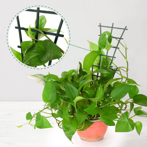 SYWHXY 12 Pack Stackable Mini Climbing Plant Trellis for Indoor Potted Plants, Flower Pots Support, Peas, Hoya, Pothos