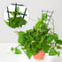 SYWHXY 12 Pack Stackable Mini Climbing Plant Trellis for Indoor Potted Plants, Flower Pots Support, Peas, Hoya, Pothos