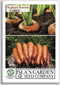 Scarlet Nantes Carrot Seeds for Planting 500+ Non-GMO & Heirloom Seeds, Botanical