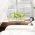 (5 Bulb Mkono Plant Terrarium with Wooden Stand, Wall Hanging Glass Planter Desktop Plant Propagation Vase with Metal