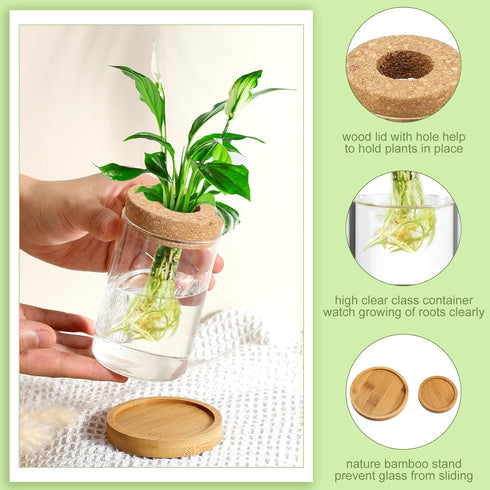 4 Layhit Pcs Plants Propagation Stations vases Glass Planters with Wooden Lid and Bamboo Stand for Hydroponic Plants