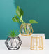 Nordic Small Clear Glass Vase, Metal Geometric Iron Line Cup Pot for Hydroponic Flowers, Modern Home Décor