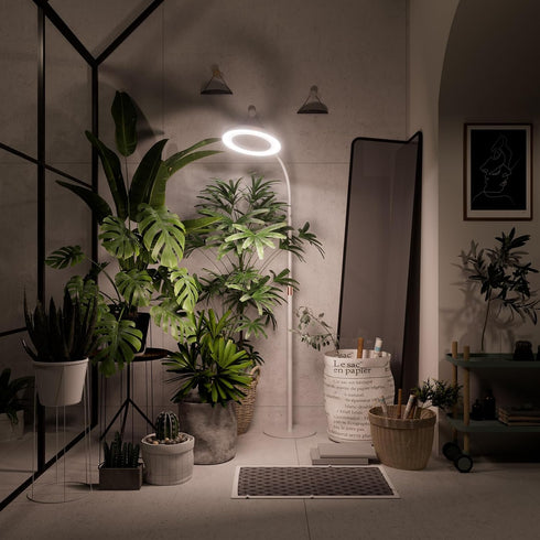 3H/9H/12H, 51-67in Plant Grow Light for Indoor Plants, Full Spectrum Grow Lamp with Pedestal Stand, Automatic Timer