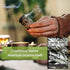 Packet (1) Sow Right Seeds - White Sage Seed for Planting - Non-GMO Heirloom with Instructions for Planting and Growing