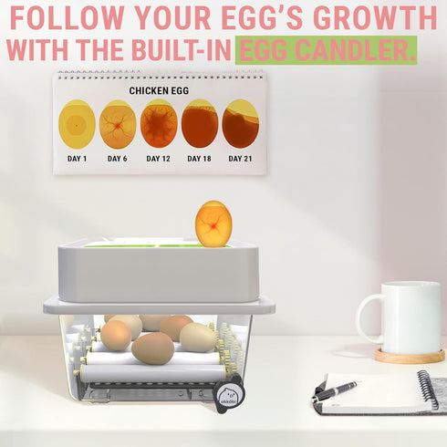 OBI-12 12 Egg Incubators for Hatching Eggs Incubator for Eggs with Automatic Egg Turner - Brooder for Chicken Eggs