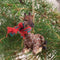 Conversation Concepts Giraffe Tiny Miniature Christmas Ornament - Brown, 1.5" - 2" Tall