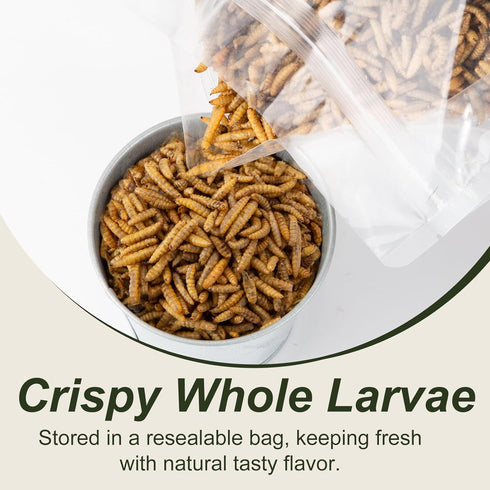 5 LBS-100% Adaman Dried Black Soldier Fly Larvae Natural BSF Larvae-More Calcium Than Dried Mealworms High-Protein