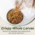 5 LBS-100% Adaman Dried Black Soldier Fly Larvae Natural BSF Larvae-More Calcium Than Dried Mealworms High-Protein
