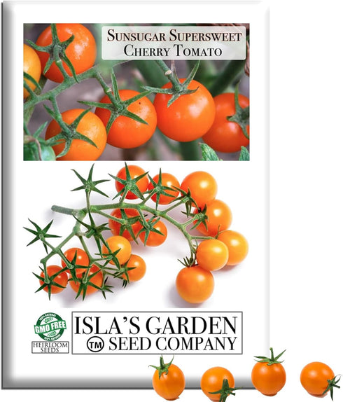 Sunsugar Supersweet Cherry Tomato Seeds (Lycopersicon lycopersicum) 20+ Heirloom Non-GMO Seeds by
