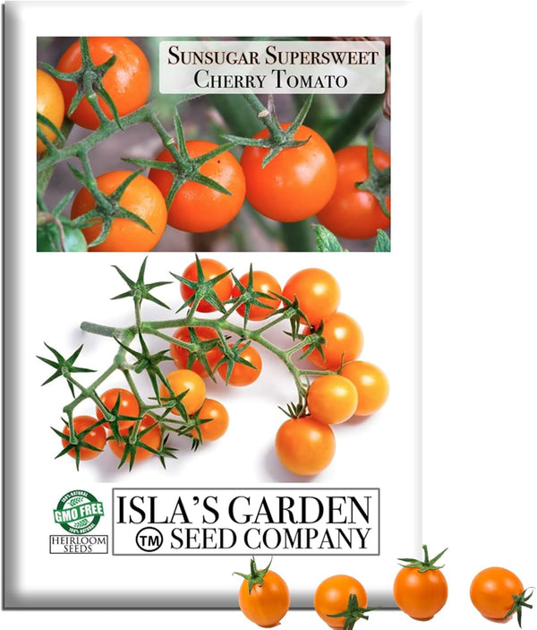 Sunsugar Supersweet Cherry Tomato Seeds (Lycopersicon lycopersicum) 20+ Heirloom Non-GMO Seeds by
