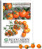 Sunsugar Supersweet Cherry Tomato Seeds (Lycopersicon lycopersicum) 20+ Heirloom Non-GMO Seeds by