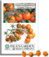 Sunsugar Supersweet Cherry Tomato Seeds (Lycopersicon lycopersicum) 20+ Heirloom Non-GMO Seeds by