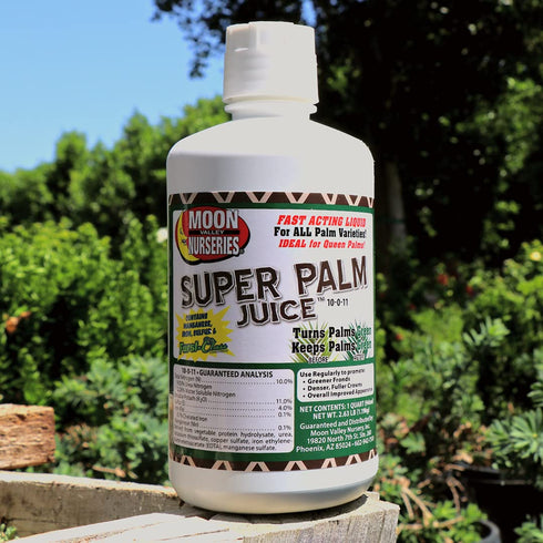 1 Super Palm Juice - Palm Tree Fertilizer - Quart