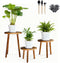 AMVAQKER 3 PCS Wood Plant Stands Indoor, Three Sizes of Plant Stands Suitable