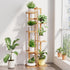 46 Inch 6 DolceLuna Plant Stand Indoor Corner, Tiered Bamboo Plant Shelf Tall, Plant Rack Tier for Multiple Small