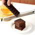 ALLTOP Hand-held Stainless Steel Lemon Zester, Pro Kitchen Tool for Cheese, Vegetable, Ginger, Garlic, Citrus
