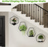 Wall Planters for Indoor Plants, Plant Frames Wall Decor Living Room Plant Stand Hanging Wall Plants Holder to Hold