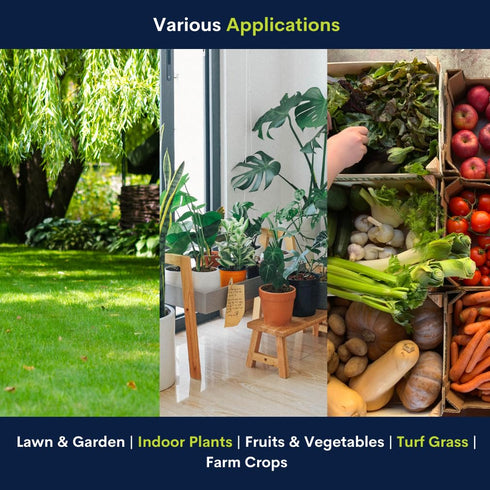 10-10-10 (5 Supply Solutions Complete Lawn & Garden Granular Fertilizer with Micronutrients Balanced NPK Plant Food