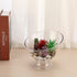 ELLDOO Clear Coffee Pod Holder, Plastic K Cup Holder, Capsule Organizer for Counter, Coffee Bar, Kitchen, Breakroom