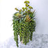 Supla 4 Pcs Artificial Hanging Succulents Faux Burro's Tail Picks for Indoor Outdoor Decor