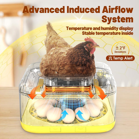 12 Incubator for Hatching Eggs, Eggs Incubator with Automatic Egg Turning, Temperature & Humidity Control, LED Egg