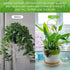 CANIPHA 4 Pcs Small Metal Trellis for Potted Plants,Gold Trellis for Climbing Plants Indoor,Small Trellis for Potted