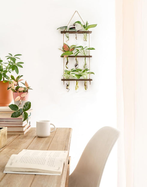 3 Mkono Plant Propagation Tubes, Tiered Wall Hanging Terrarium with Wooden Stand Flower Vase Test Tube Glass Planter