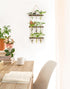 3 Mkono Plant Propagation Tubes, Tiered Wall Hanging Terrarium with Wooden Stand Flower Vase Test Tube Glass Planter