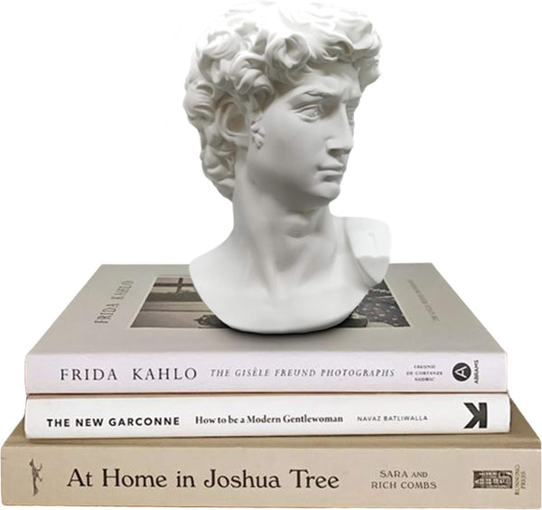 Greek Statue of David Head Bust, Mythology and Roman Home Decor