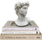 Greek Statue of David Head Bust, Mythology and Roman Home Decor