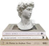 Greek Statue of David Head Bust, Mythology and Roman Home Decor