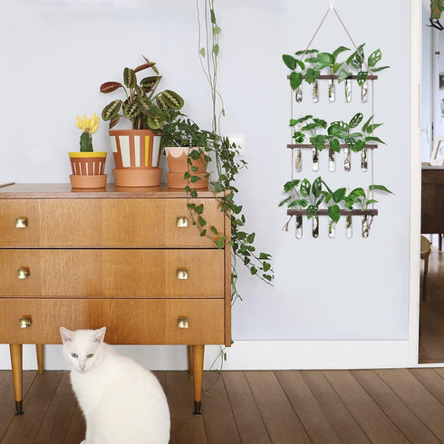 5 3 XXXFLOWER Wall Hanging Propagation Station with Wooden Stand Glass Test Tubes Tiered Planters Wall Terrarium