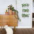 5 3 XXXFLOWER Wall Hanging Propagation Station with Wooden Stand Glass Test Tubes Tiered Planters Wall Terrarium