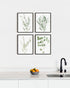 HAUS AND HUES Set of 4 Botanical Plant Wall Art Prints - Floral Kitchen Decor, Eucalyptus Leaves (11x14, UNFRAMED)