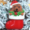 Cici & Jimmy Dachshund Christmas Ornament with Gold Hanging String Cute Wiener Dog in Stocking