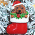 Cici & Jimmy Dachshund Christmas Ornament with Gold Hanging String Cute Wiener Dog in Stocking
