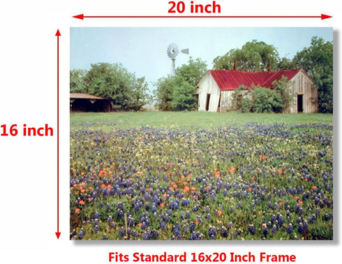 Old Barn & Flowers Field Scenery Nature Landscape Wall Decor Art Print Poster (16x20)