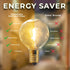 26ft 25 Bulbs,G40 Bulbs, Formosa Indoor/Outdoor Clear LED Christmas String, Patio Light with Retro Round Waterproof